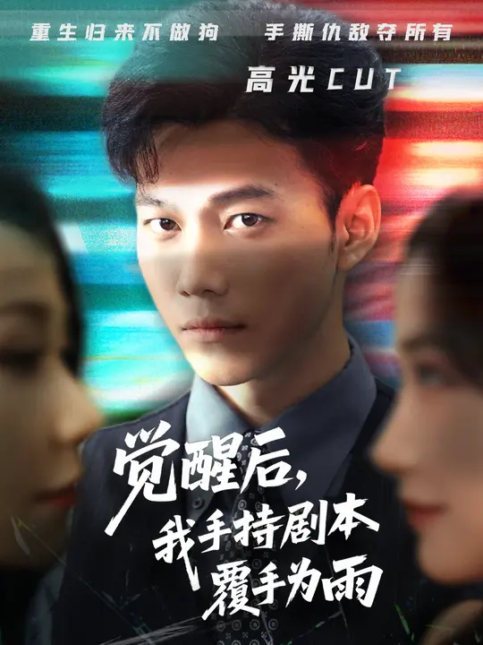 觉醒后我手持剧本覆手为雨海报