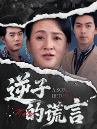 逆子的谎言海报