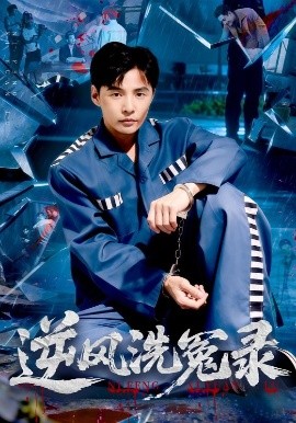 逆风洗冤录海报