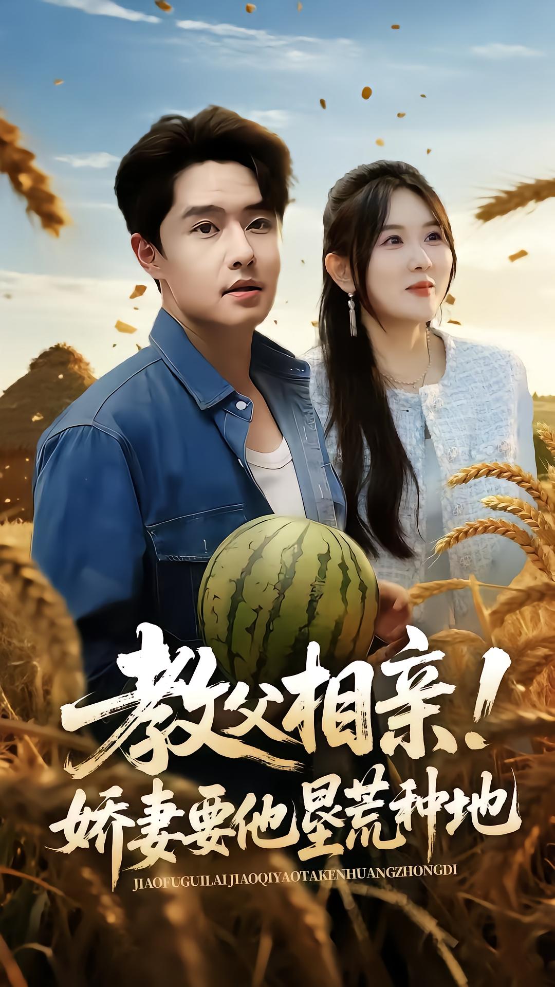 教父相亲娇妻要他垦荒种地海报