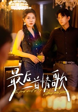 最后一首情歌海报