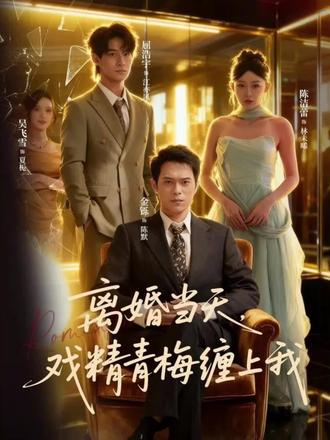 离婚当天戏精青梅缠上我海报