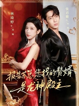 报告苏总，您找的赞婿是龙神殿主海报