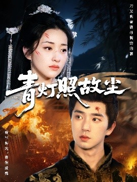 青灯照故尘海报