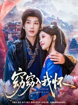 窈窈入我怀海报