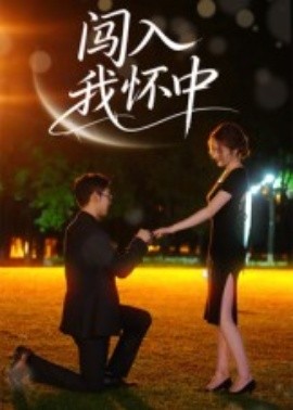 闯入我怀中海报
