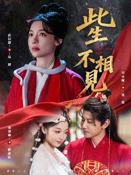 此生不相见海报