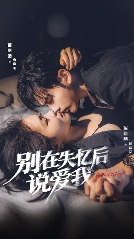 别在失忆后说爱我海报