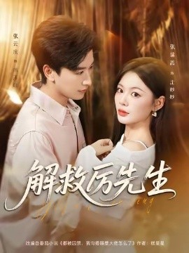 解救厉先生海报
