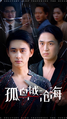 孤鸟越沧海海报