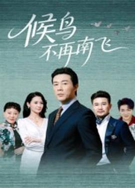 候鸟不再南飞海报