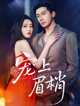 宠上眉梢海报