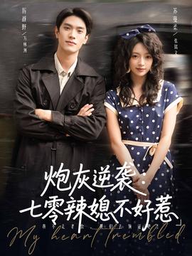 炮灰逆袭七零辣媳不好惹海报