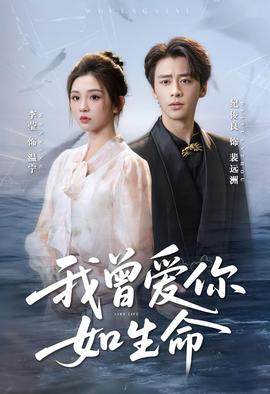 我曾爱你如生命＆宁夜向远海报