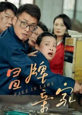 冒牌亲家海报