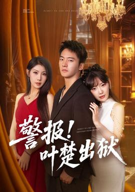 警报叶楚出狱海报