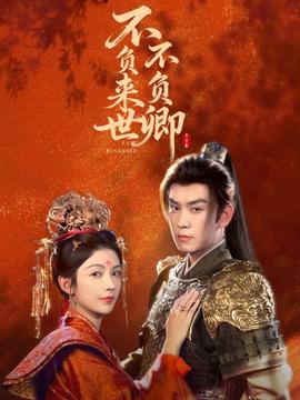 不负来世不负卿海报