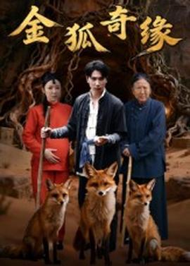 金狐奇缘海报