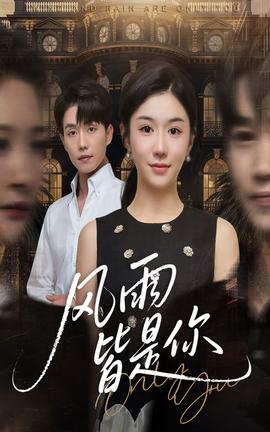 风雨皆是你海报