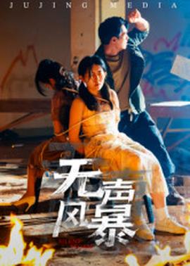 无声风暴海报