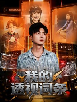 我的透视词条海报