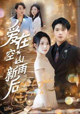 爱在空山新雨后海报