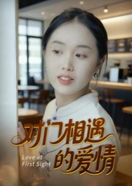 对门相遇的爱情海报
