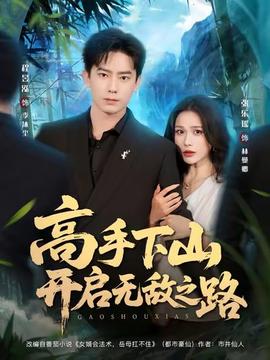 高手下山开启无敌之路海报