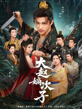 大赵嫡次子海报