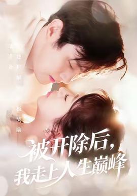 被开除后，我走上人生巅峰海报