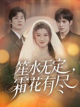 笙水无定，霜花有尽海报