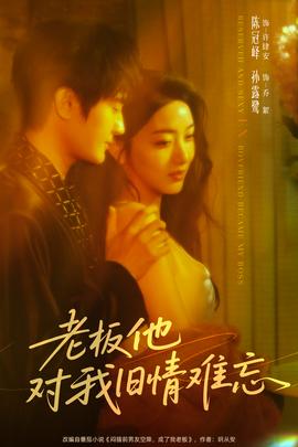 老板他对我旧情难忘海报
