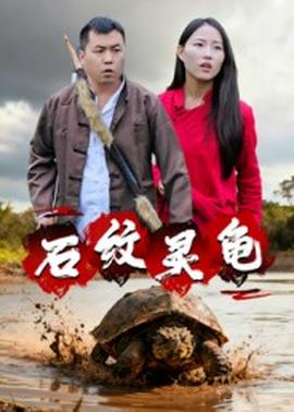 石纹灵龟海报