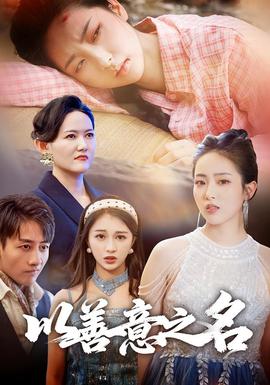 以善意之名海报