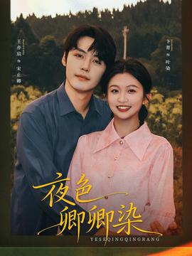 夜色卿卿染海报