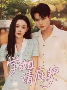 学姐请庇护海报