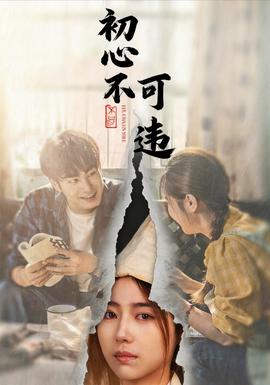 初心不可违海报