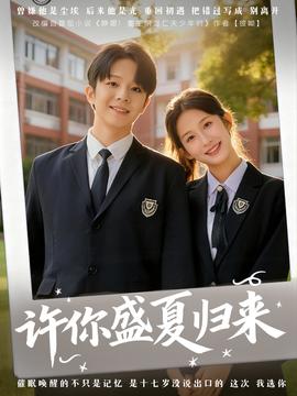 许你盛夏归来海报