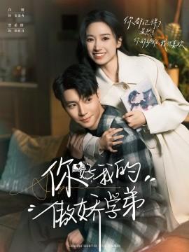 你好，我的傲娇学弟海报