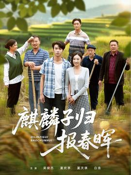 麒麟子归报春晖海报