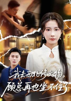 我去西北修文物，顾总再也坐不住了海报