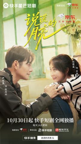 说谎的月亮海报