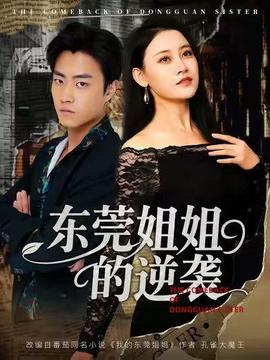 东莞姐姐的逆袭海报