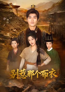 别惹那个布衣海报
