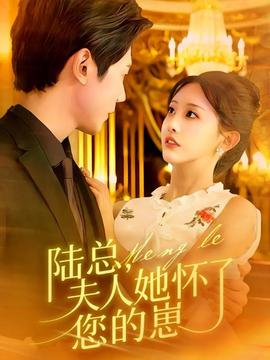 陆总，夫人她怀了您的崽海报