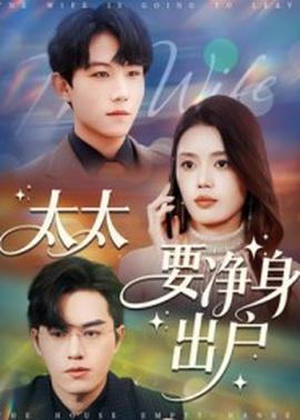 太太要净身出户海报