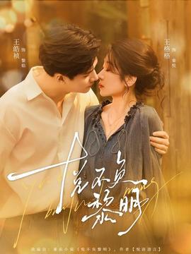 悦不负黎明海报