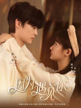 因为遇见你海报