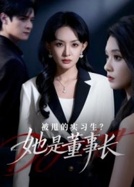 被甩的实习生？她是董事长！海报