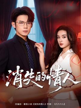 消失的情人海报